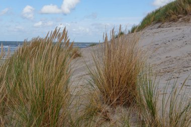 Hollanda 'daki Vlieland Adası