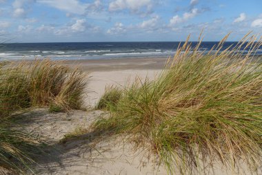 Hollanda 'daki Vlieland Adası