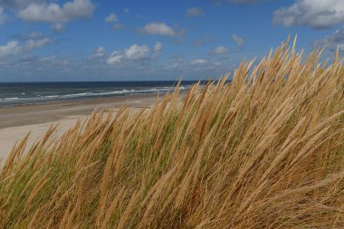 Hollanda 'daki Vlieland Adası