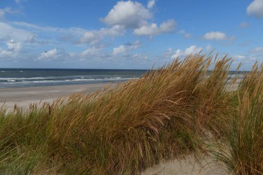 Hollanda 'daki Vlieland Adası
