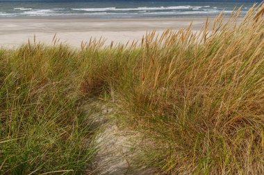 Hollanda 'daki Vlieland Adası