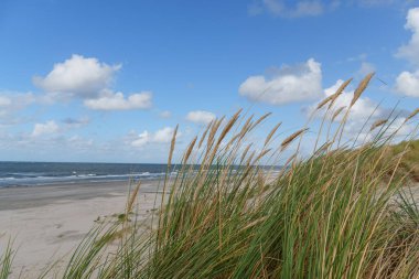 Hollanda 'daki Vlieland Adası