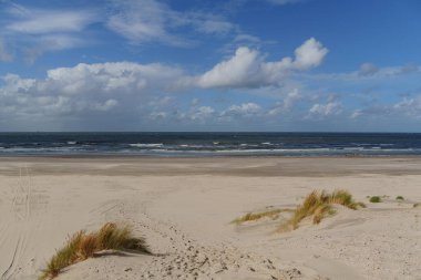 Hollanda 'daki Vlieland Adası