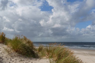Hollanda 'daki Vlieland Adası