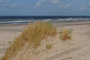 Hollanda 'daki Vlieland Adası