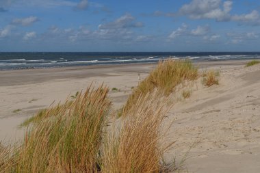 Hollanda 'daki Vlieland Adası