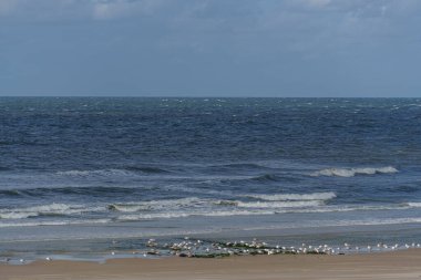 Hollanda 'daki Vlieland Adası