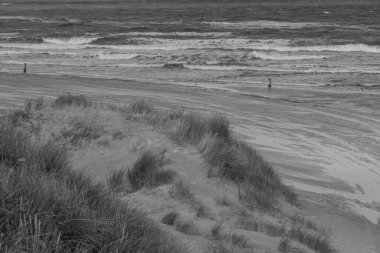 Kuzey Denizi 'ndeki Vlieland Adası