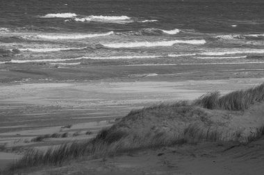 Kuzey Denizi 'ndeki Vlieland Adası