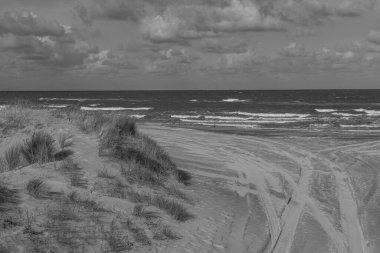 Kuzey Denizi 'ndeki Vlieland Adası