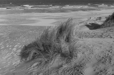 Kuzey Denizi 'ndeki Vlieland Adası