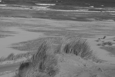 Kuzey Denizi 'ndeki Vlieland Adası