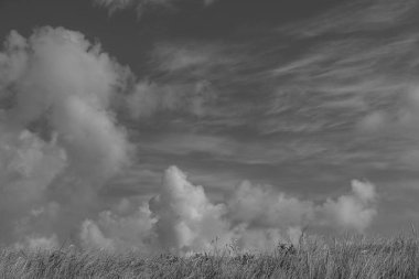 Kuzey Denizi 'ndeki Vlieland Adası