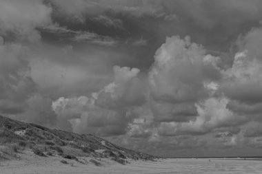 Kuzey Denizi 'ndeki Vlieland Adası