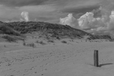 Kuzey Denizi 'ndeki Vlieland Adası