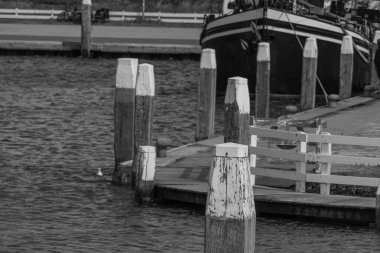 Kuzey Denizi 'ndeki Vlieland Adası