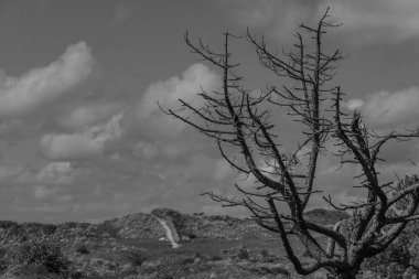 Kuzey Denizi 'ndeki Vlieland Adası