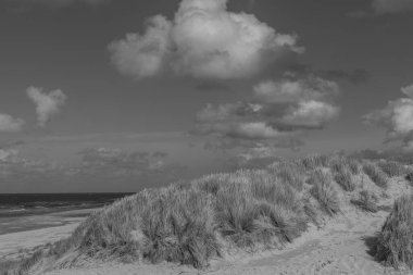 Kuzey Denizi 'ndeki Vlieland Adası