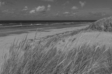 Kuzey Denizi 'ndeki Vlieland Adası