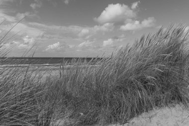 Hollanda 'daki Vlieland Adası.