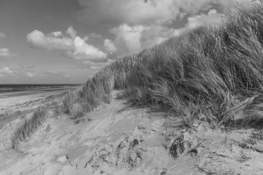 Hollanda 'daki Vlieland Adası.