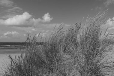 Hollanda 'daki Vlieland Adası.