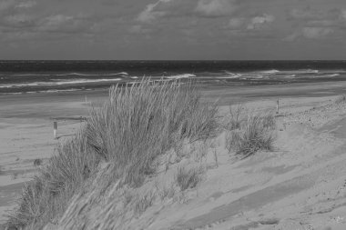Hollanda 'daki Vlieland Adası.