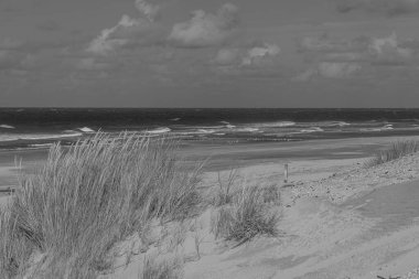 Hollanda 'daki Vlieland Adası.