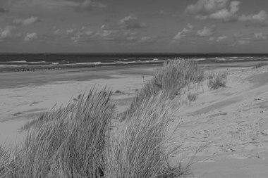 Hollanda 'daki Vlieland Adası.