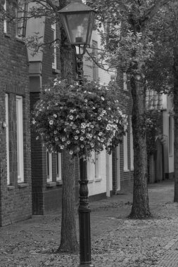 Hollanda 'daki Vlieland Adası.