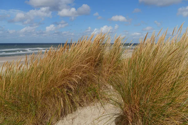 Hollanda 'daki Vlieland Adası