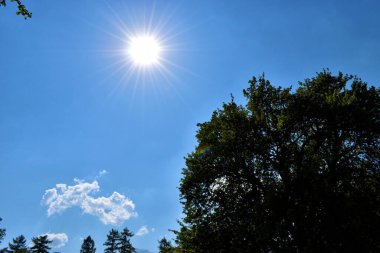 Fruehlingssonne mit erkennbaren Strahlen Ben Himmel ueber Liechtenstein 23.4.4.4.2020