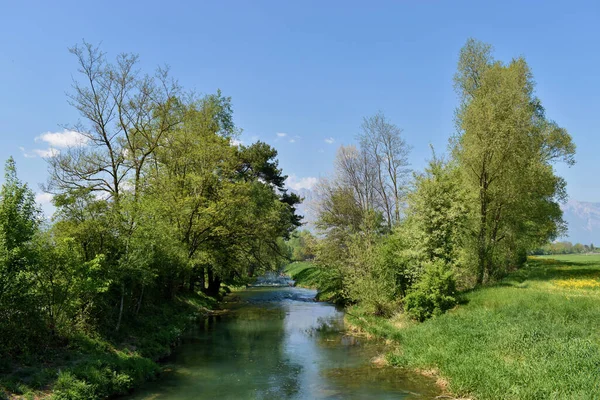 Kleiner Bach Fliesst Durch Liechtensteins Naturlandschaft 2020 — Zdjęcie stockowe