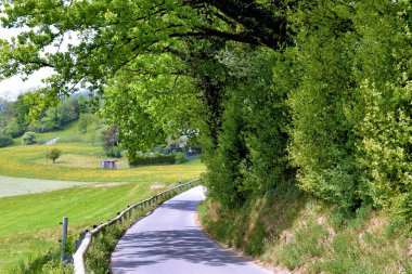 Liechtenstein 'deki Naturlandschaft 24.2020