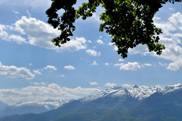 Ausblick Auf Die Wunderschnen Schweizer Alpen Rheintal 2020 — Photo