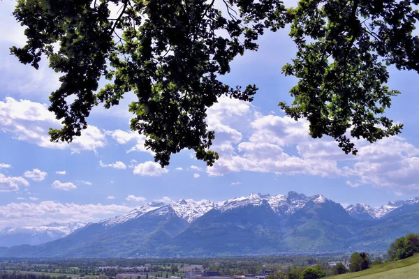 Ausblick Auf Die Wunderschnen Schweizer Alpen Rheintal 2020 — Stockfoto