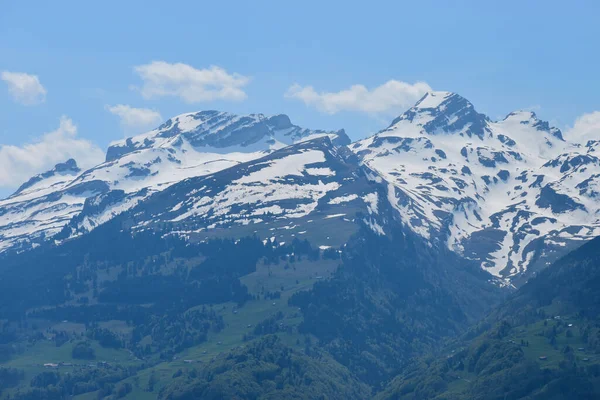 Ausblick Auf Die Wunderschnen Schweizer Alpen Rheintal 2020 — Stock Photo, Image