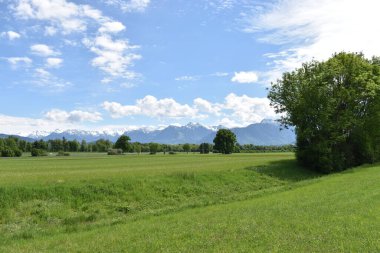 Einzigartiges schweizer Bergpanorama im Rheintal
