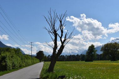 Einzigartige Lihtenştayn 'daki Naturlandschaft