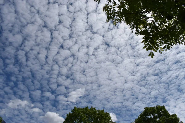 Stratokumulus Wolken Schweben Ueber Den Liechtensteiner Fruehlingshimmel — стокове фото