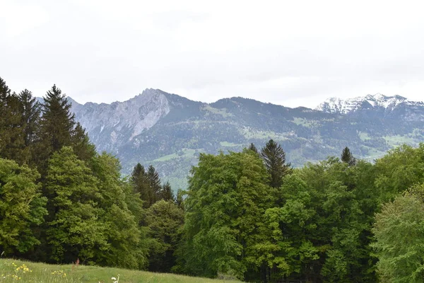 Schweizer Bergansicht Bei Bewoelktem Himmel —  Fotos de Stock