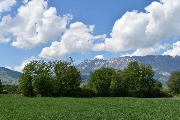 Einzigartige Naturlandschaft Liechtenstein Területén — Stock Fotó