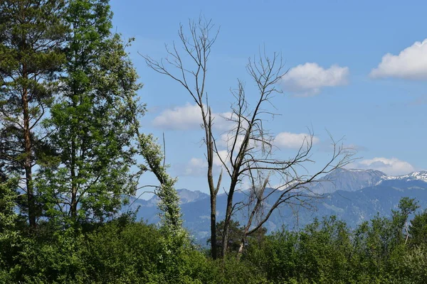 リヒテンシュタインのEinigartige Naturlandschaft — ストック写真