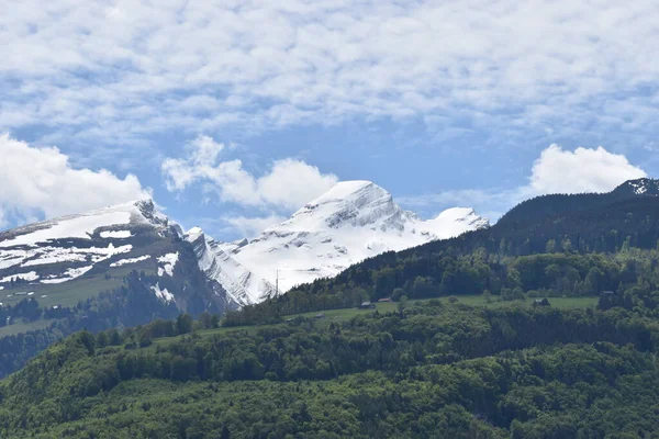 スイスの雪に覆われた山の峰 — ストック写真