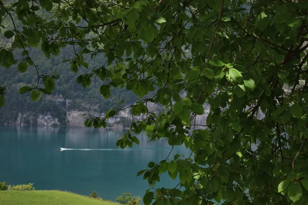 Wspaniały Dzień Walensee Szwajcarii 2020 — Zdjęcie stockowe