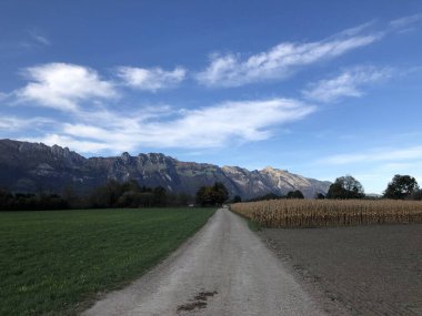 2019 yazında Lihtenştayn 'dan güzel bir kır manzarası