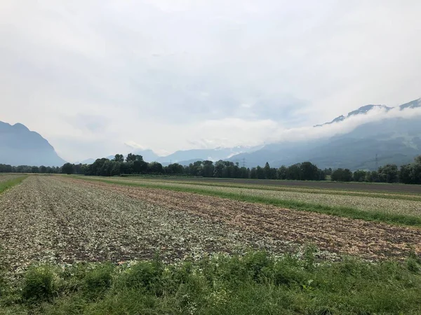 Día Tormenta Región Alpina Liechtenstein — Foto de Stock