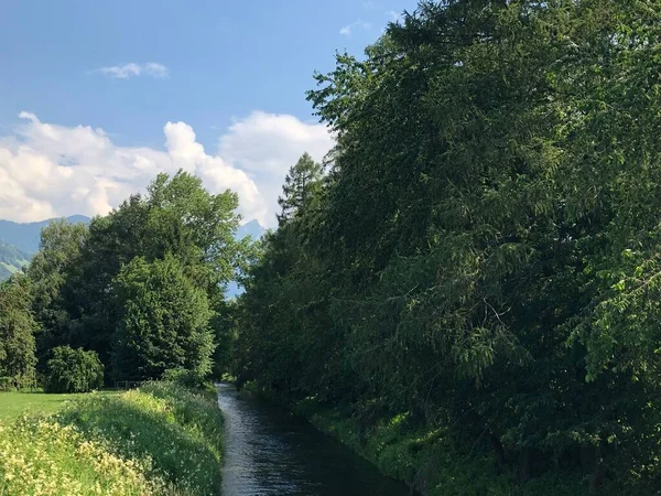 Pequeño Río Fluye Través Naturaleza Liechtenstein — Foto de Stock
