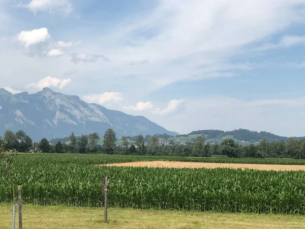 リヒテンシュタインと夏の魅力的な山のパノラマ2019 — ストック写真