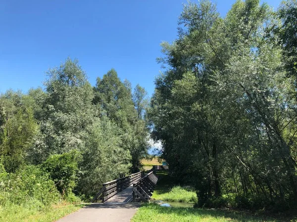 2019 yazında Lihtenştayn 'da bir parkta güzel bir doğa.